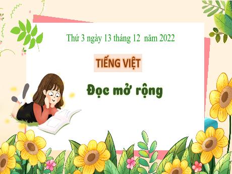 Bài giảng Tiếng Việt 3 (Kết nối tri thức) - Đọc mở rộng: Đi bừa - Năm học 2022-2023 - Nguyễn Thị Hằng