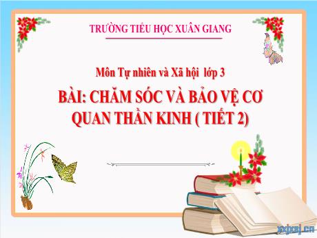 Bài giảng Tự nhiên và xã hội 3 - Bài: Chăm sóc và bảo vệ cơ quan thần kinh (Tiết 2) - Nguyễn Thị Hằng