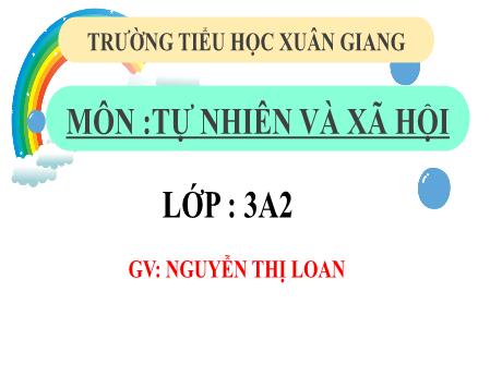 Bài giảng Tự nhiên và xã hội 3 (Kết nối tri thức) - Bài 13: Một số bộ phận của thực vật (Tiết 1) - Năm học 2022-2023 - Nguyễn Thị Loan