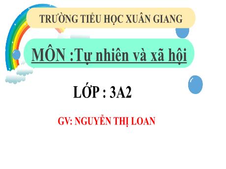 Bài giảng Tự nhiên và xã hội 3 (Kết nối tri thức) - Bài 13: Một số bộ phận của thực vật (Tiết 3) - Năm học 2022-2023 - Nguyễn Thị Loan