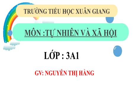 Bài giảng Tự nhiên và xã hội 3 (Kết nối tri thức) - Bài 14: Chức năng một số bộ phận của thực vật - Năm học 2022-2023 - Nguyễn Thị Hằng
