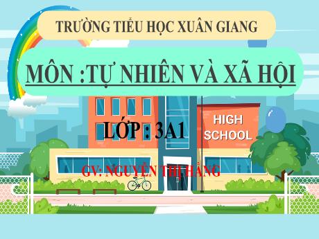 Bài giảng Tự nhiên và xã hội 3 (Kết nối tri thức) - Bài 16: Sử dụng hợp lí thực vật và động vật (Tiết 1) - Năm học 2022-2023 - Nguyễn Thị Hằng