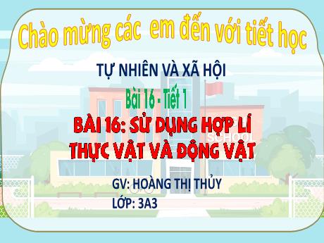 Bài giảng Tự nhiên và xã hội 3 (Kết nối tri thức) - Bài 16: Sử dụng hợp lí thực vật và động vật (Tiết 1) - Năm học 2022-2023 - Hoàng Thị Thủy
