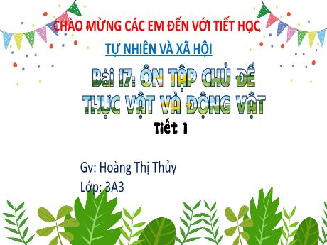 Bài giảng Tự nhiên và xã hội 3 (Kết nối tri thức) - Bài 17: Ôn tập chủ đề thực vật và động vật (Tiết 1) - Năm học 2022-2023 - Hoàng Thị Thủy