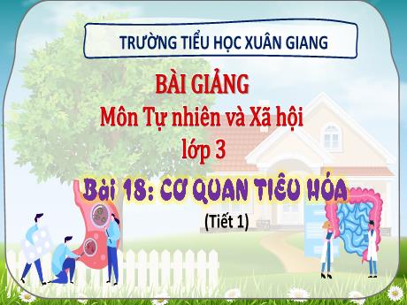 Bài giảng Tự nhiên và xã hội 3 (Kết nối tri thức)- Bài 18: Cơ quan tiêu hóa (Tiết 1) - Năm học 2022-2023 - Hoàng Thị Thủy