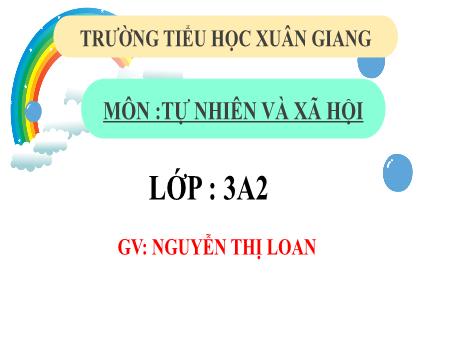 Bài giảng Tự nhiên và xã hội 3 (Kết nối tri thức) - Bài 21: Chăm sóc và bảo vệ cơ quan tuần hoàn (Tiết 1) - Năm học 2022-2023 - Nguyễn Thị Loan