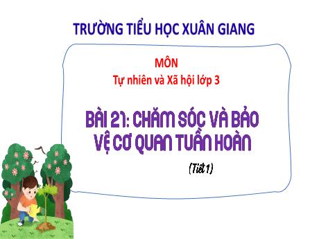 Bài giảng Tự nhiên và xã hội 3 (Kết nối tri thức) - Bài 21: Chăm sóc và bảo vệ cơ quan tuần hoàn (Tiết 1) - Năm học 2022-2023 - Hoàng Thị Thủy
