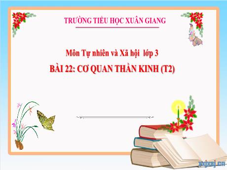 Bài giảng Tự nhiên và xã hội 3 (Kết nối tri thức) - Bài 22: Cơ quan thần kinh (Tiết 2) - Năm học 2022-2023 - Hoàng Thị Thủy
