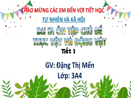 Bài giảng Tự nhiên và xã hội 3 (Kết nối tri thức) - Bài17: Ôn tập chủ đề thực vật và động vật (Tiết 1) - Năm học 2022-2023 - Đặng Thị Mến