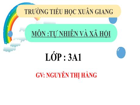 Bài giảng Tự nhiên xã hội 3 (Kết nối tri thức) - Bài 19: Chăm sóc và bảo vệ cơ quan tiêu hóa (Tiết 2) - Năm học 2022-2023 - Nguyễn Thị Hằng