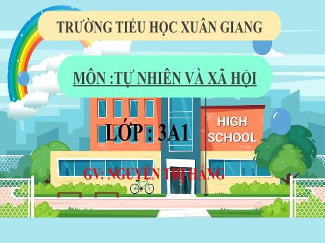 Bài giảng Tự nhiên xã hội 3 (Kết nối tri thức) - Bài 20: Cơ quan tuần hoàn (Tiết 2) - Năm học 2022-2023 - Nguyễn Thị Hằng